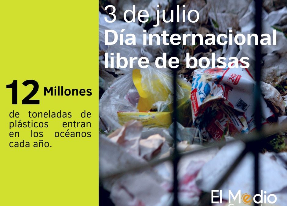 3 de julio: día internacional libre de bolsas