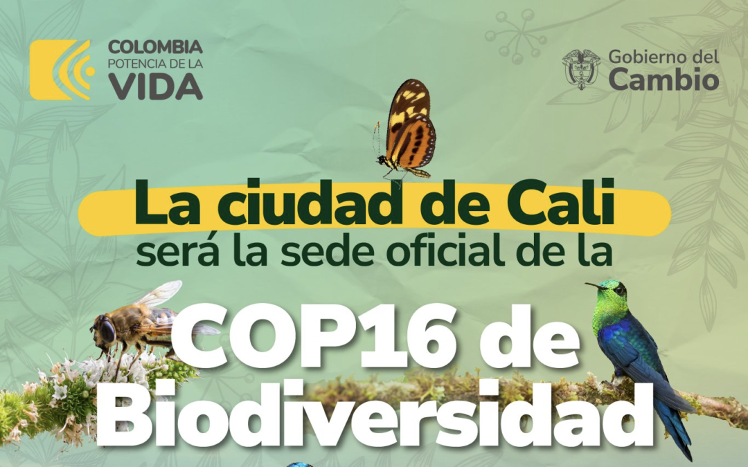 Santiago de Cali, Sede de la COP16 de Biodiversidad 2024