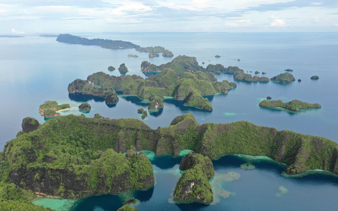 Fondo para la Biodiversidad ejecutará este año más de 1,7 billones de pesosen protección ambiental
